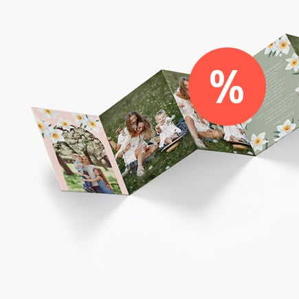 Harmonijki -40%